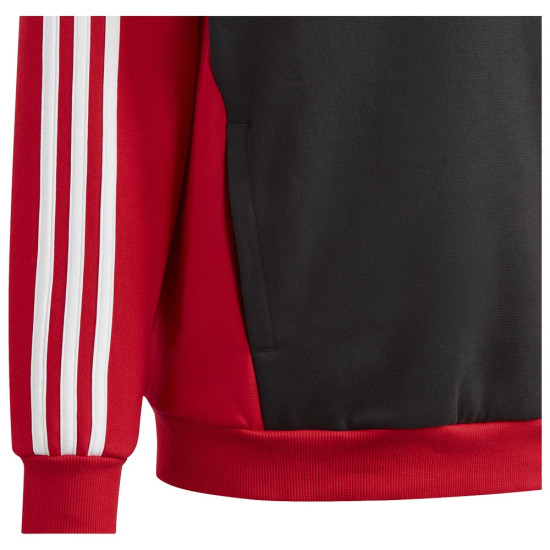 Adidas Παιδικό φούτερ J 3-Stripes Tiberio Fleece HD